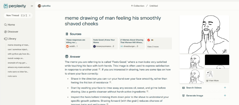 Figure 1: Screenshot of perplexity session during which I learned that the name of the meme is in fact &ldquo;feels good&rdquo;