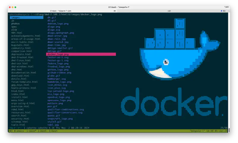 Figure 3: on tmux and windows terminal, we revert to chafa’s amazing ASCII rendering